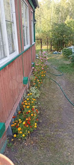 Дача 20 м² на участке 9 сот.