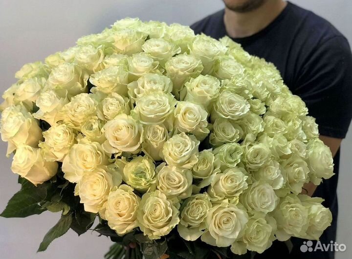 Высокие Розы с Доставкой