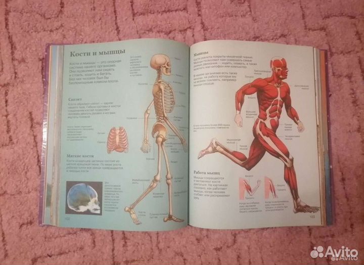 Детская энциклопедия