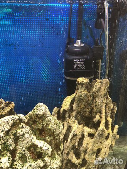 Аквариум Aquael 150 литров