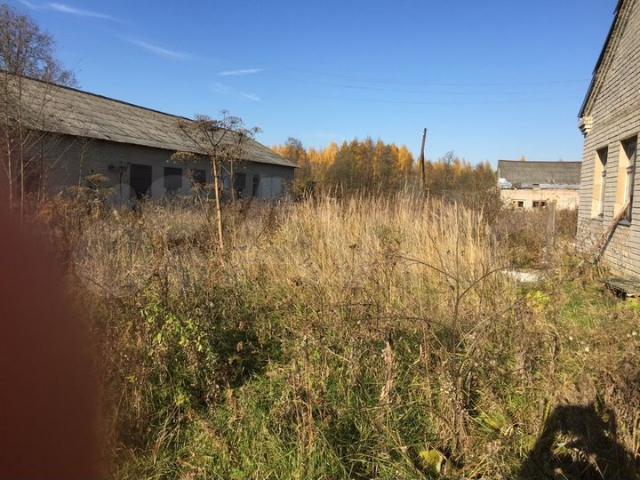 Участок 62,5 сот. (ИЖС)