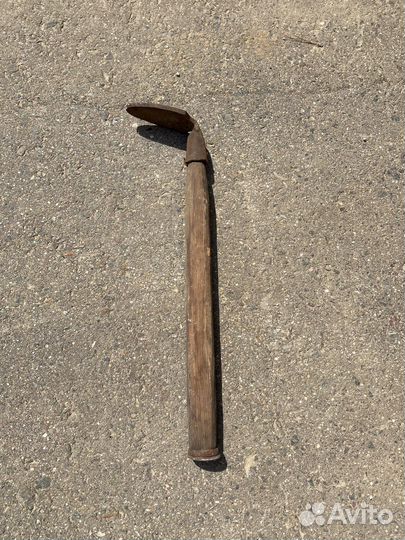 Лапа сапожная