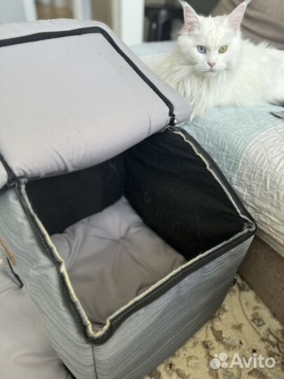 Домик для кошек и собак