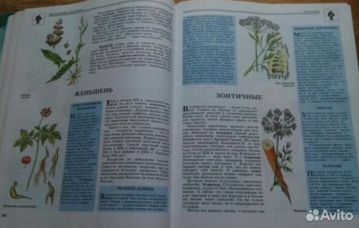 Тома из серии