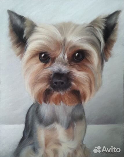 Рисунки вашего питомца на заказ