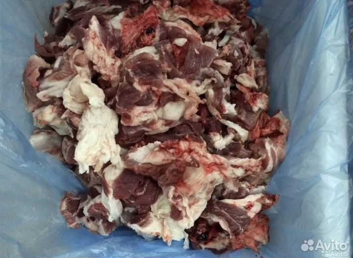 Корм для животных