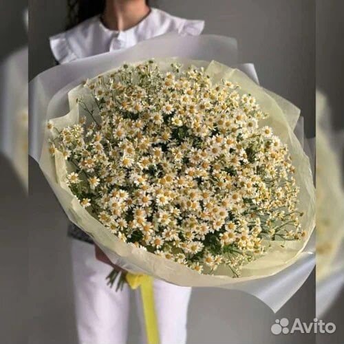 Ромашки полевые,доставка букетов