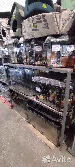 Аквариумы разных форм и размеров