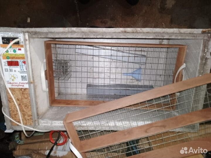 Инкубатор блиц