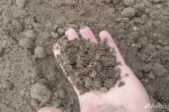 Грунт плодородный, чернозем без посредников