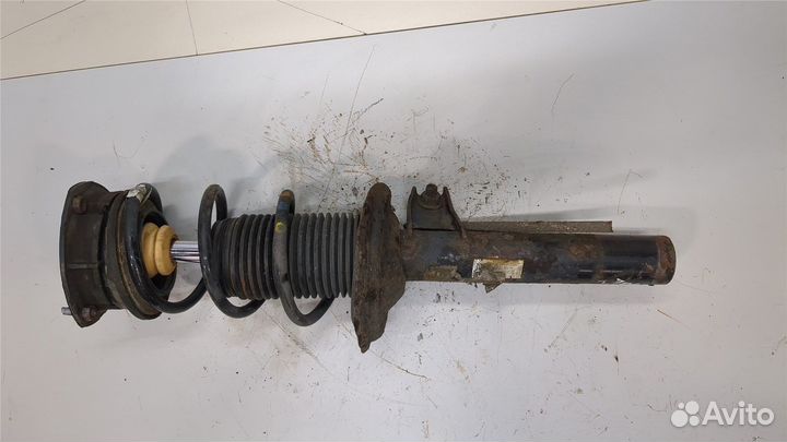 Амортизатор подвески Seat Leon 3, 2016