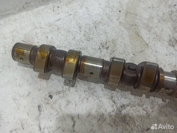 Распредвал выпускной A1110504701