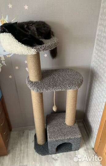 Когтеточки на заказ