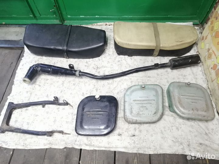 Восход Сова