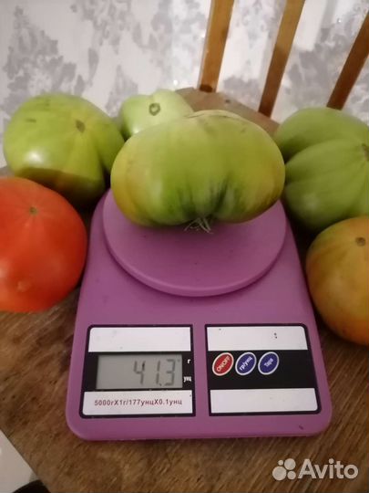 Семена томата