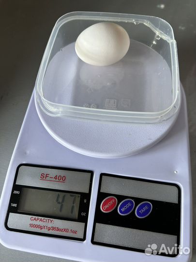 Домашние куриные яйца