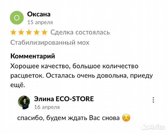 Узкое панно из мха в ванную