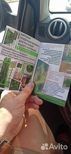 Дизайн рекламы, логотип, бренд (опыт 15 лет)