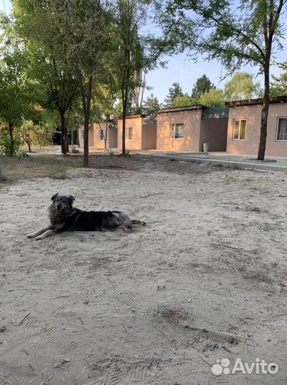 База отдыха Донские зори