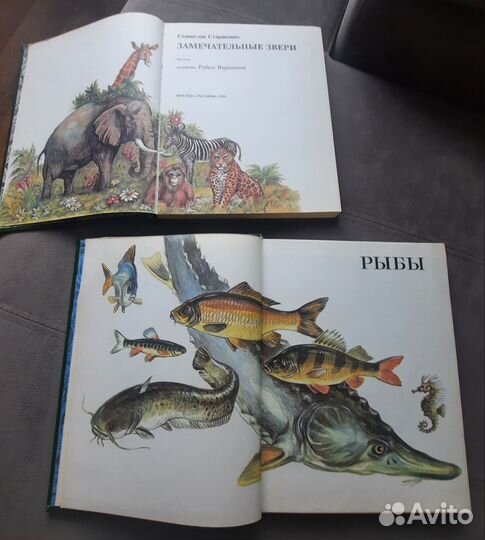 Познавательные книги