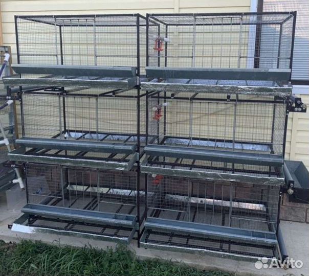 Клетки для кур