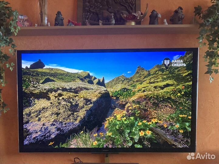 Panasonic TX-PR65VT60