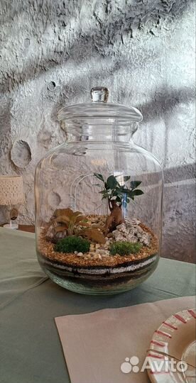 Большой флорариум