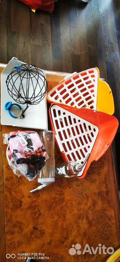 Аксессуары для -декоративных кролей