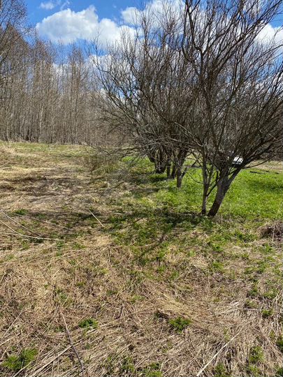 Участок 6 сот. (ИЖС)