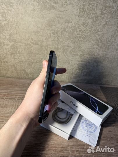 iPhone 16 Pro Max, 256 ГБ