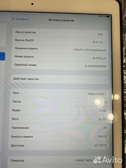 iPad pro 12 9 256 2015