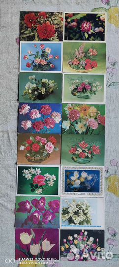 Открытки СССР, Цветы,подписанные.Пятая часть