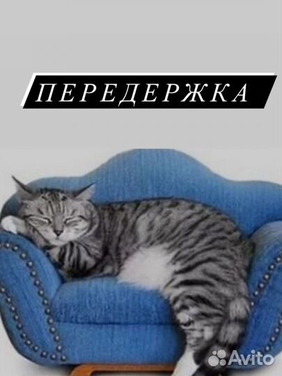 Передержка животных