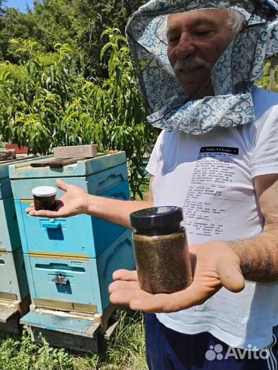 Медовый глистогон