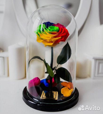 Роза в колбе. С гарантией