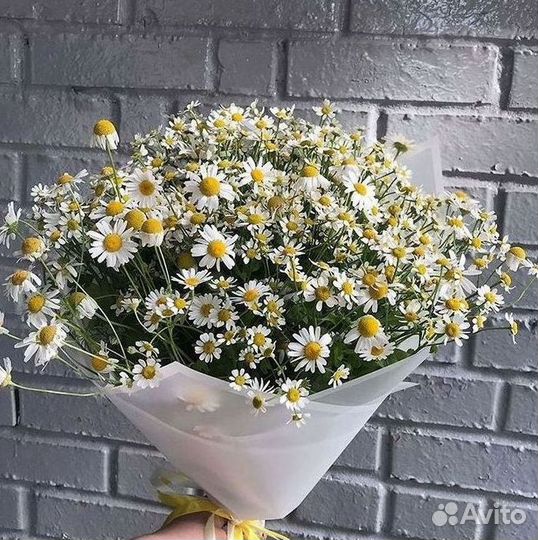 Ромашки Букет из ромашек доставка