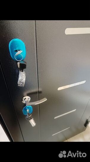 Дверь входная 