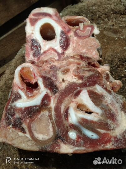 Рубец говяжий (корм для собак)