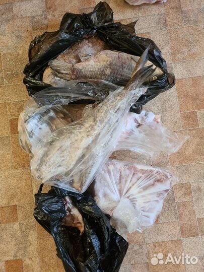 Мясо и кости, рыба для собак