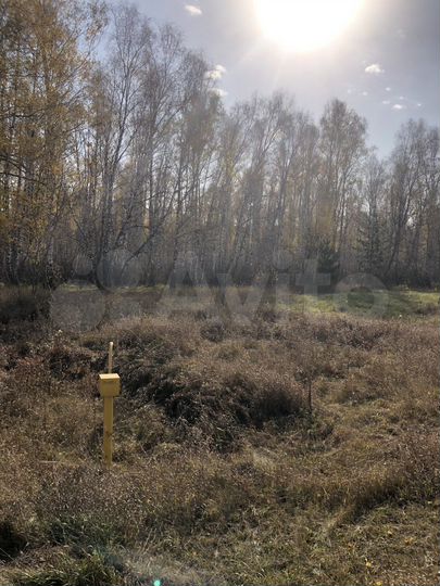 Участок 10,6 сот. (ИЖС)