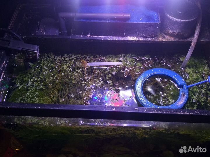 Аквариум с рыбками бу