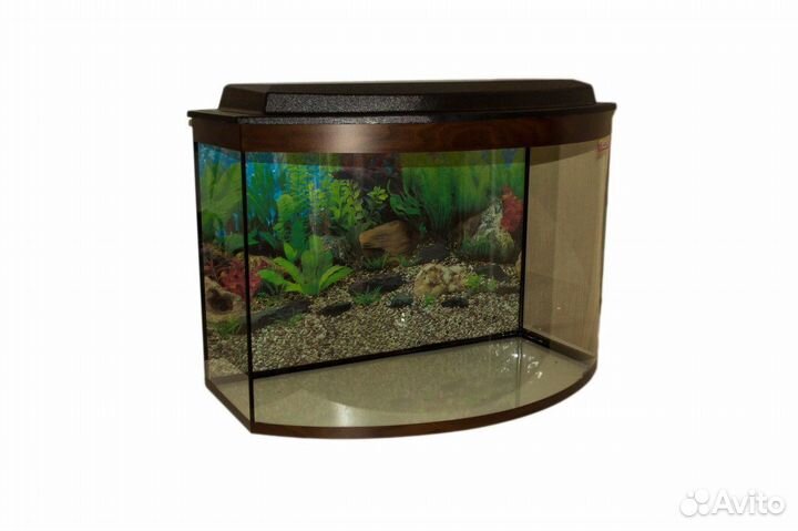 Аквариум 130 л новый с гнутым стеклом