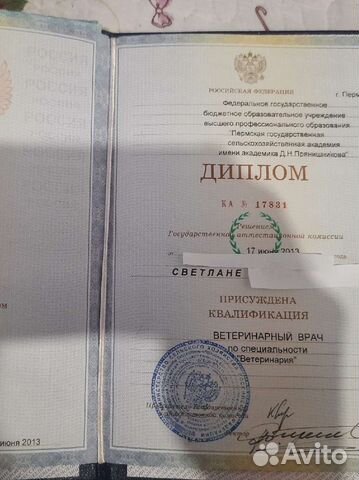 Ветеринарный врач выезд на дом