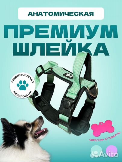 Шлейка для собак анатомическая