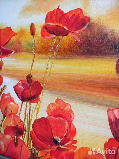 Картина маслом Маки пейзаж полевые цветы 40*50