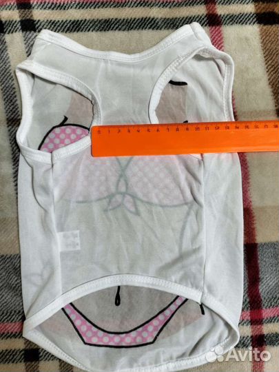 Одежда для собак