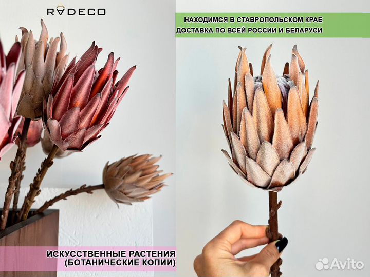 Прoтея иcкуccтвeннaя ботаническaя копия