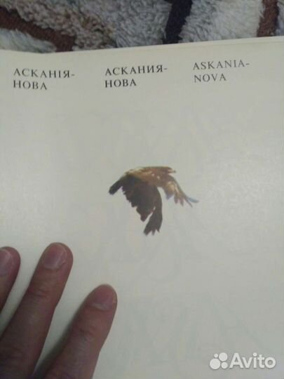 Книга - фотоальбом 