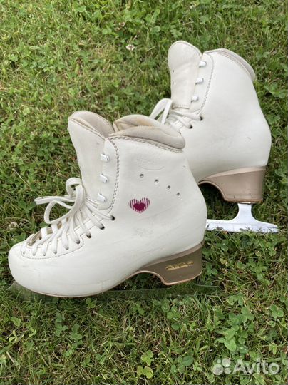 Фигурные коньки edea chorus 230