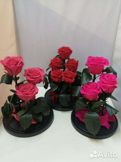 Цветы оптом